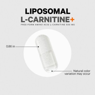 Liposomal L-Carnitine+ Supplement, 500 mg L-Carnitine L-Tartrate per Serving - Free-Form Amino Acid, Carnitine, Liposomal Delivery 90 Capsules