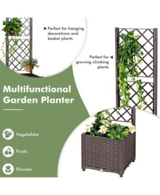 Raised Garden Bed with Trellis Planter Box for Climbing Plants