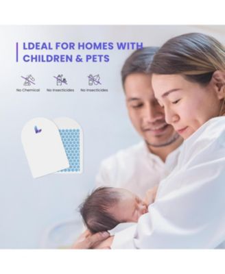 3 Pack Glue Cards - Insect Trap Refill