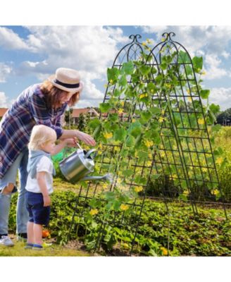 2 Pack Metal Garden Trellis Decorative for Climbing Plants