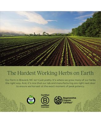 Cranberry Concentrate - Helps Maintain Urinary Tract Health - Made With Organic Cranberry Fruit Juice Extract in Convenient Capsules - 60 Liquid Phyto-Capsules (30-Day Supply)