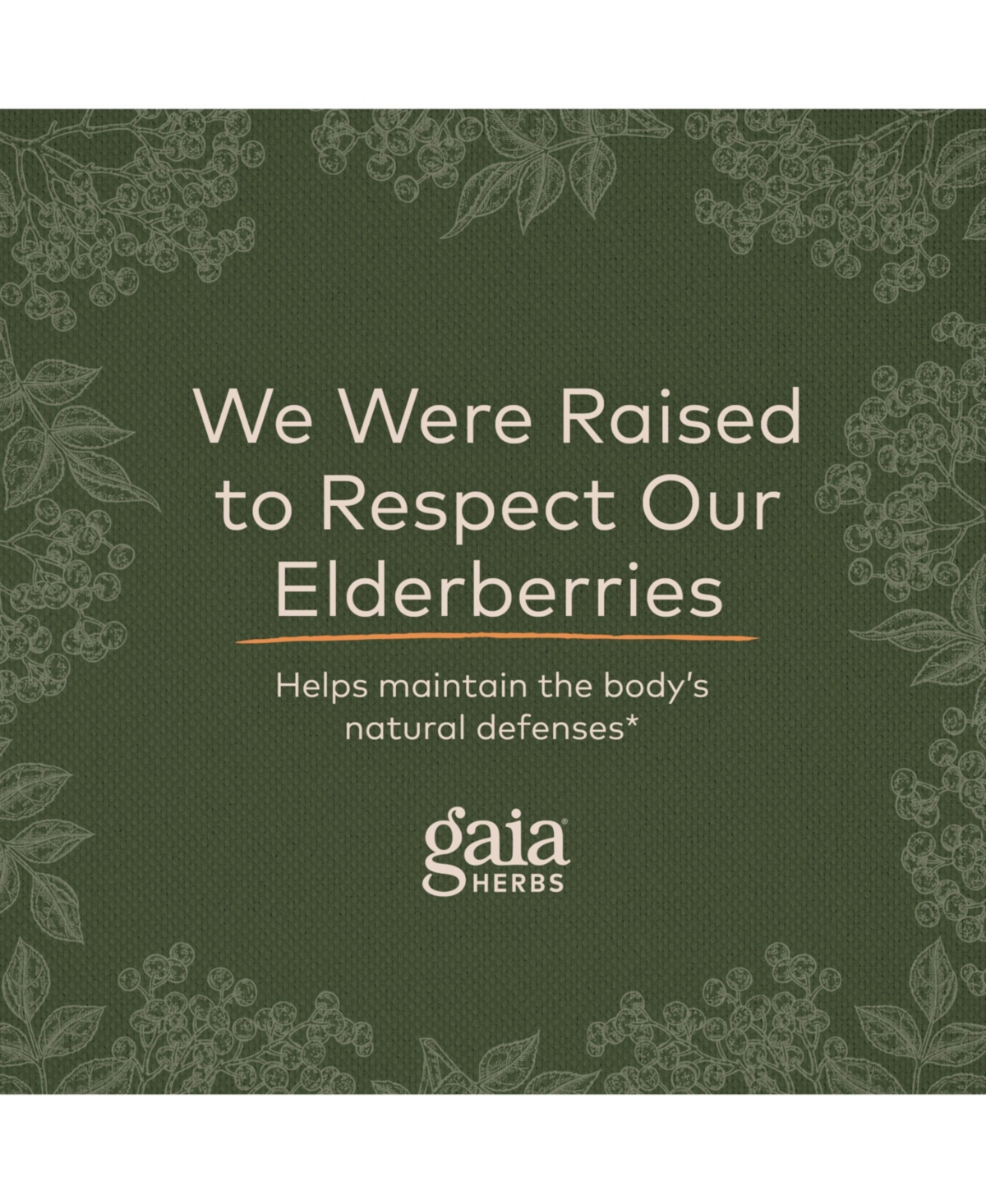 Gaia Herbs Black Elderberry