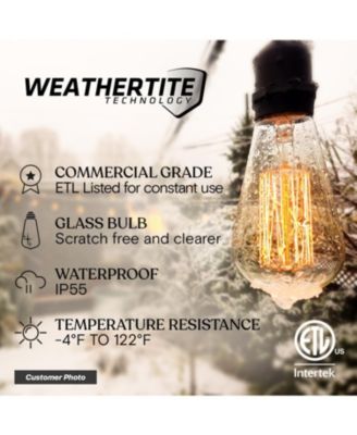 Ambience Pro 48 ft. Incandescent Indoor/Outdoor Weatherproof 40-Watt String Lights