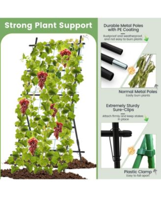 74 Inch Tall Garden Trellis for Flower Vine Vegetable Fruit Pea