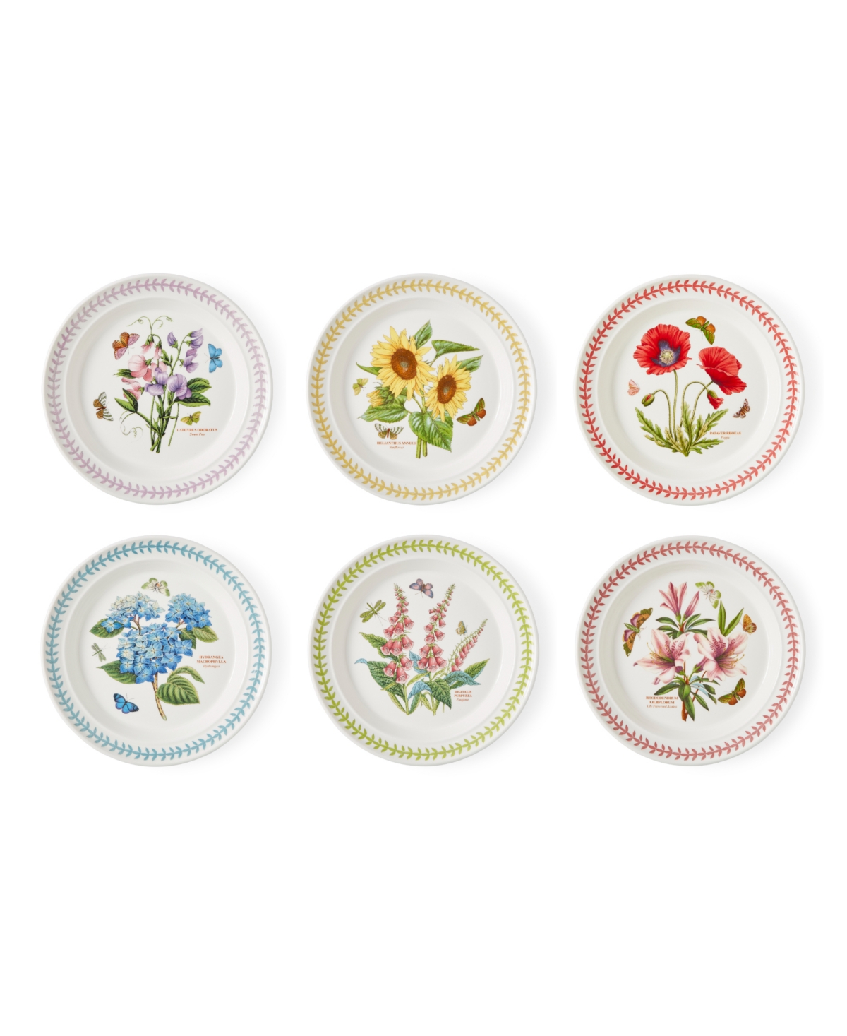 Botanic Garden Meadow Assorted Dinner Plates, Set of 6 - White