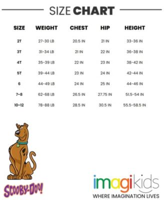 Boys Warner Bros. Fleece Pullover Hoodie