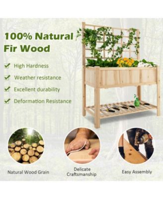 Raised Garden Bed Elevated Wooden Planter Box with Trellis