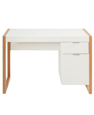 Modern Computer Desk Study Table Writing Workstation with Cabinet and Drawer