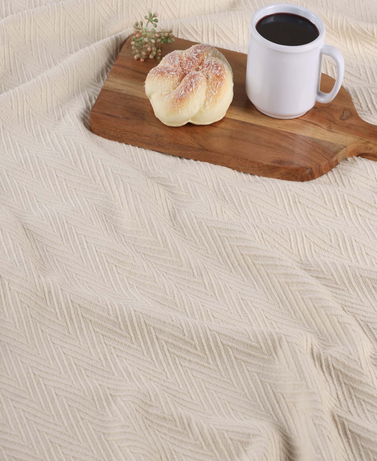Superior Chevron All-season Cotton Blanket, King In Ivory