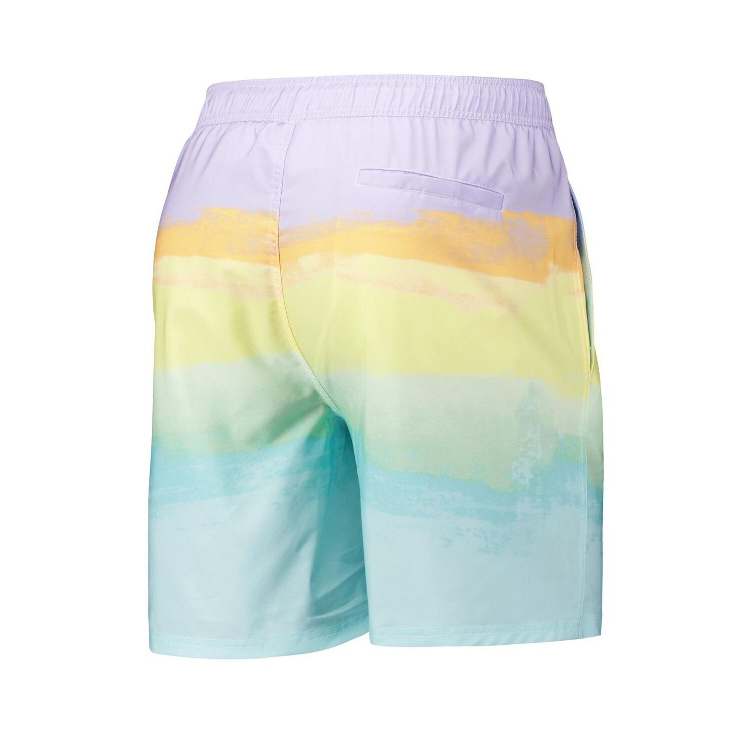 Men's Houston Astros Perfect Game Volley Board Shorts
