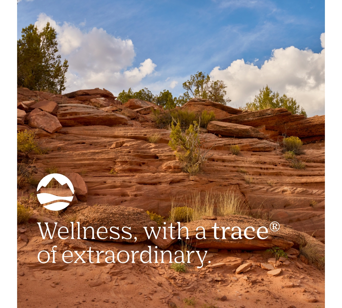 Trace Minerals Liquid Immunity+ with Elderberry, Zinc, Vitamins C & D, Ionic Fast Absorbing, Sugar Free Immune Support, Gluten Free | Mixed Berry | 30