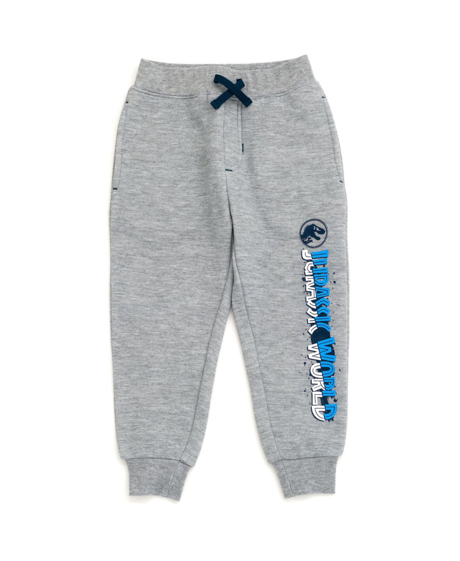 Toddler Boys 2T-5T Jurassic World Dinosaur T-Rex Fleece Pullover Hoodie and Pants Outfit Set