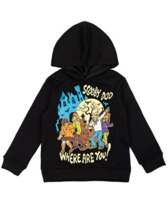 Boys Warner Bros. Fleece Pullover Hoodie