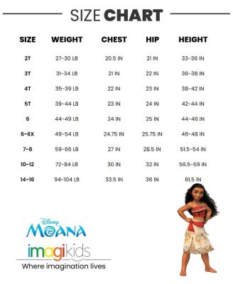 Frozen Toddler Girls Tulle Dress