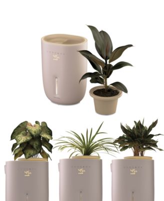 Warm Cool Mist Humidifier with Small Planter