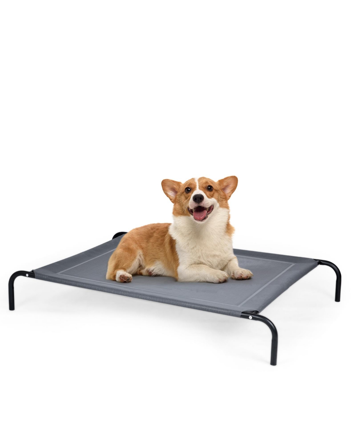 Elevated Pet Bed for Medium Large Dogs - Grey