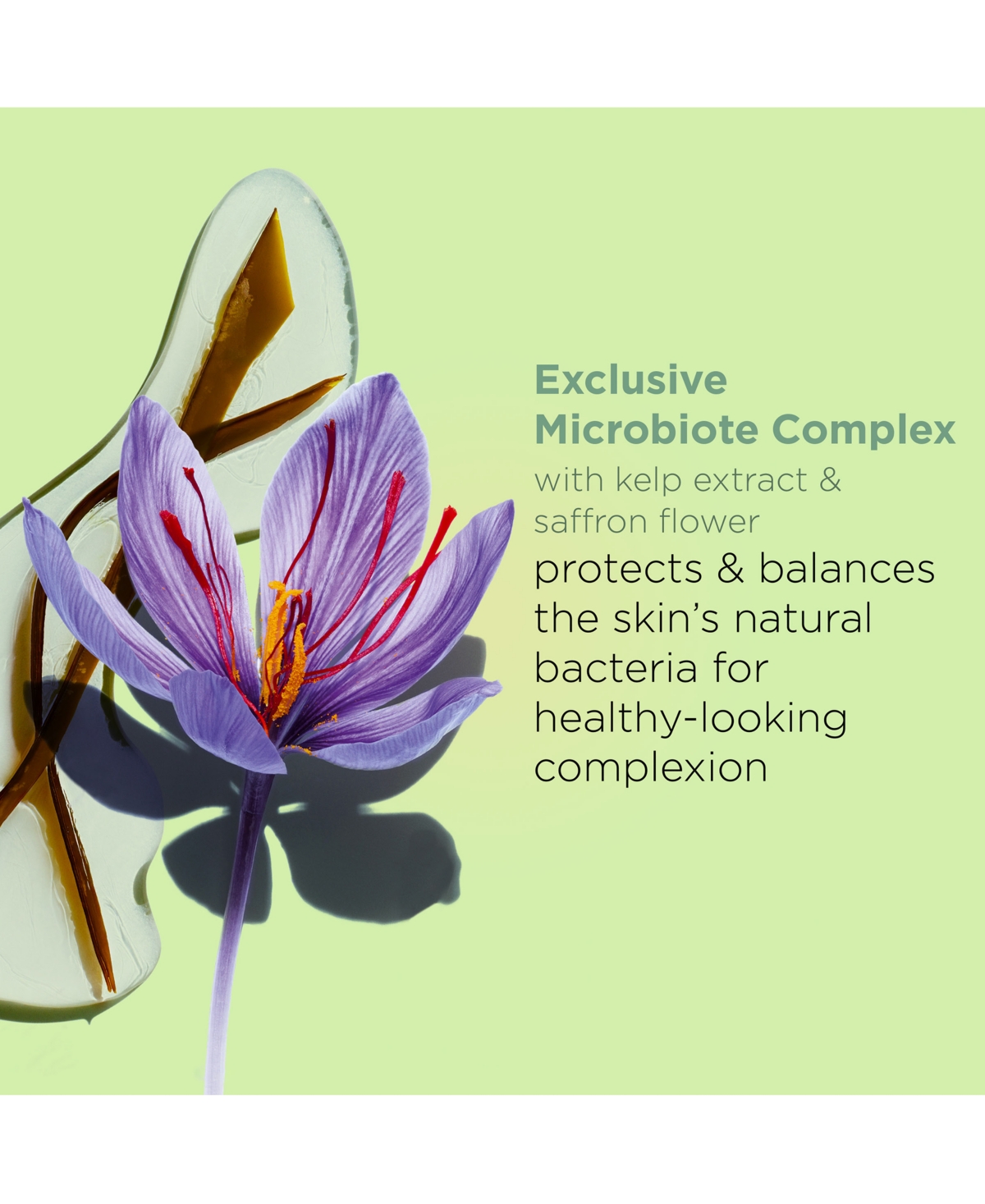 Clarins Luxury-size Purifying Toning Lotion Refill In No Color