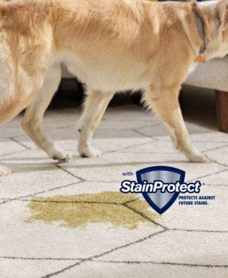 Little Green Pet Pro Portable Carpet Cleaner