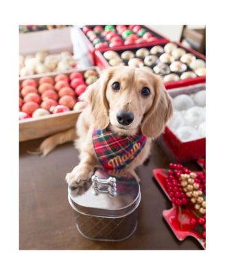 Chance Metal Canister