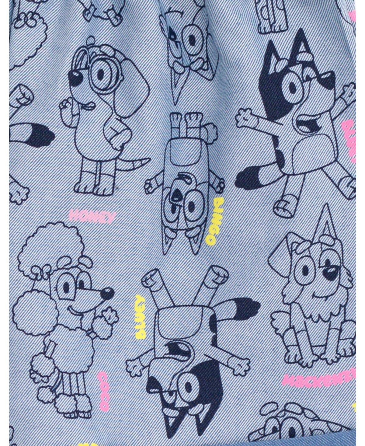 Bluey Toddler Girls T-Shirt and Chambray Shorts Outfit Set -/ blue