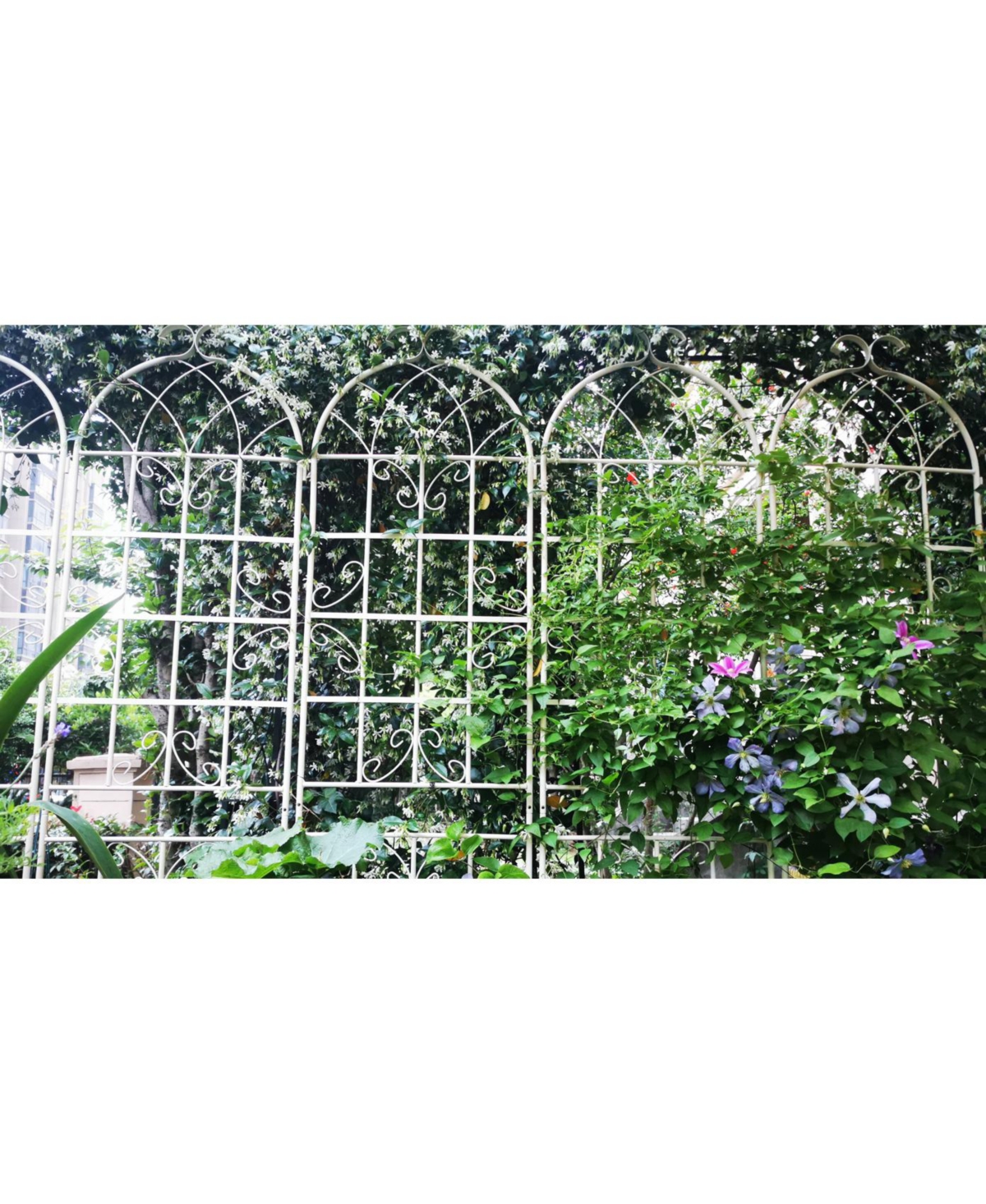 Slickblue 2-Pack Metal Garden Trellis – 86.7'' x 19.7'', Rustproof Cream White Trellis for Climbing Plants and Outdoor Flower Support