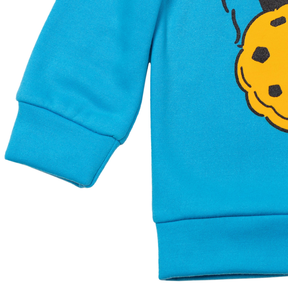 Sesame Street Baby Boys Abby Cadabby Elmo BirdOscar The Grouch Pullover Hoodie to - Cookie monster