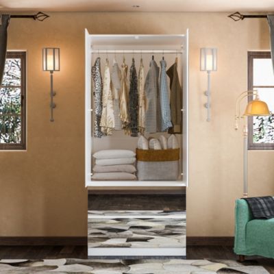 Wardrobe Closet with All Mirror, Armoire with 2 Doors, 2 Drawers & Hanging Rod, For Bedroom