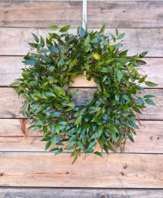 Long Lasting Italian Ruscus Real Wreath, 22"