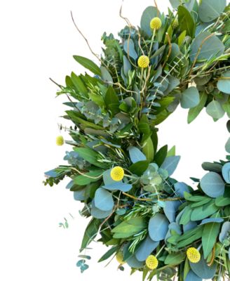 Bayleaf, Baby Blue Eucalyptus, Rosemary, Curly Willow and Yellow Billy Balls Real Aromatic Wreath, 22"