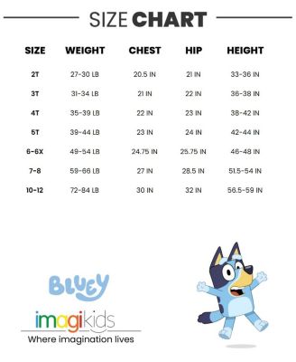 Toddler| Child Bingo and Friends 3 Pack Graphic T-Shirts