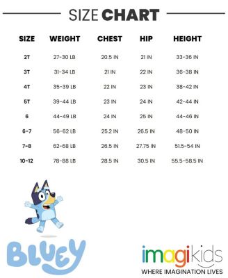 Toddler Boys Fleece Hoodie and Pants Outfit Set to