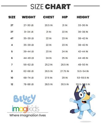 Little Boys Fleece Zip Up Hoodie and Jogger Pants Set