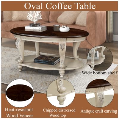 Oval Wood Coffee Table with Open Storage Shelf