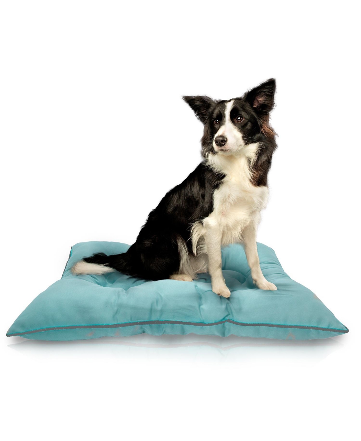 Waterproof Dog Bed, Chew Proof Pet Bed, Durable Outdoor Mat for Dogs, Heavy Duty, Ideal for Travel - Aqua gray
