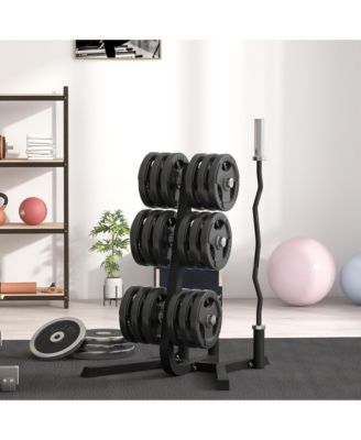2-inch Weight Rack for Plates and 3 Bars, Olympic Weight Tree Bumper Plate Storage Holder, 660 lbs. Capacity, Black