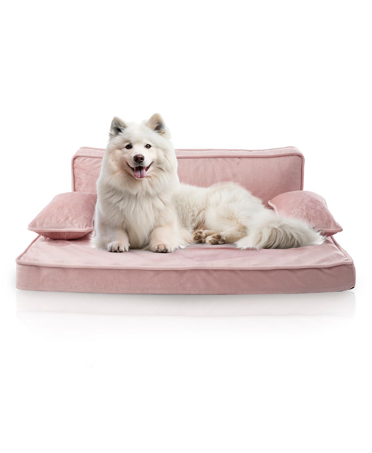 Orthopedic Pet Bed, Stylish Beds for Cats and Dogs, Modern Sofa Couch for Small-Medium Dog