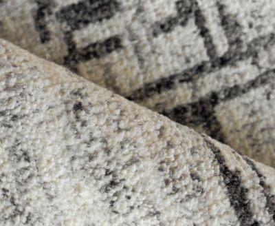 Exquisite Rugs Aldridge 6830 Rug Collection In Ivory