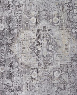 Feizy Sarrant 3966f Rug Collection In Gray