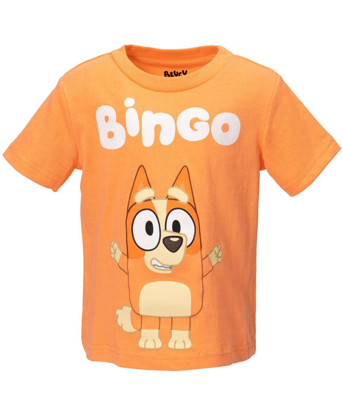 Bluey Toddler Boys Matching Family T-Shirt to (2T - 18-20) - orange