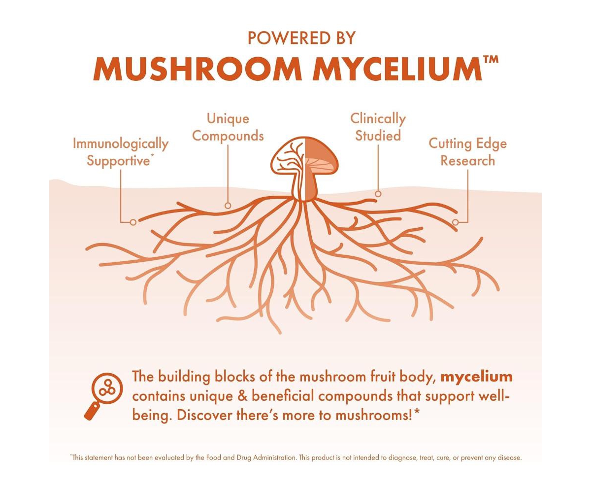 Host Defense Cordyceps Capsules - Immune & Energy Support Supplement