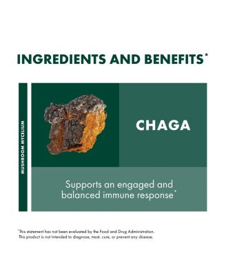 Chaga Extract - Immune System Support Supplement - Chaga Mushroom for Antioxidant Activity Support - Liquid Dietary Mushroom Supplement