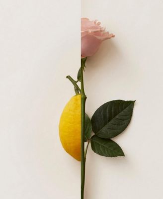 - Rosa Limone Eau De Parfum - 50ml