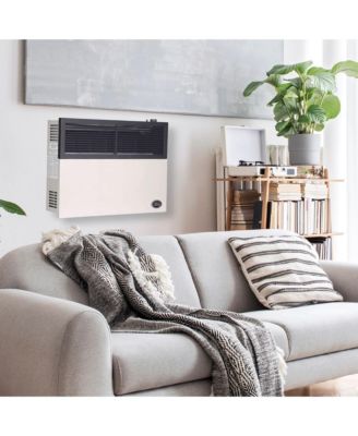 17,000 BTU Direct Vent Liquid Propane Wall Mount Heater