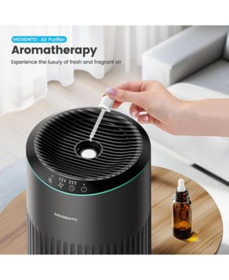 Small HEPA Air Purifier for Home with Fragrance Sponge-The Perfect Christmas Gift, Compact Purifier for Offices & Dorms up to 225 Sq. Ft.
