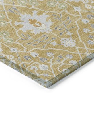 Chantille Machine Washable ACN1009 8'x10' Area Rug