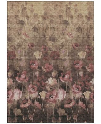 Chantille Machine Washable ACN992 5'x7'6" Area Rug