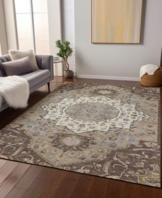Chantille Machine Washable ACN985 2'6"x3'10" Area Rug