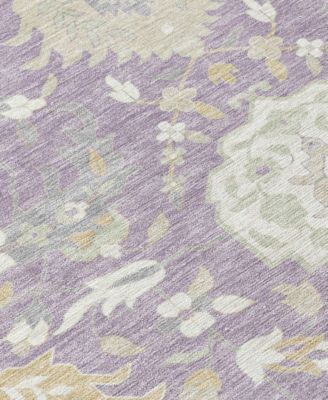 Chantille Machine Washable ACN1026 8'x10' Area Rug