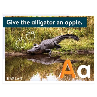 Kaplan Dough Literacy Mats - Set of 26