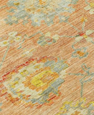 Chantille Machine Washable ACN1107 8'x10' Area Rug